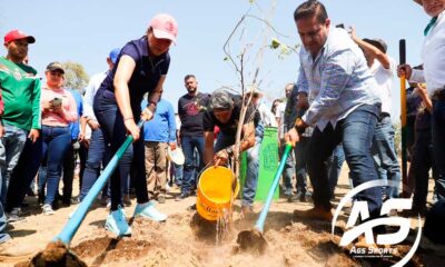 Encabeza Tere Jiménez jornada de reforestación en