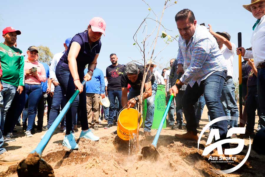 Encabeza Tere Jiménez jornada de reforestación en