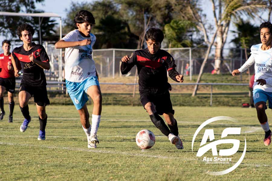 Equipos de Aguascalientes clasificaron a las finales de la LNJ