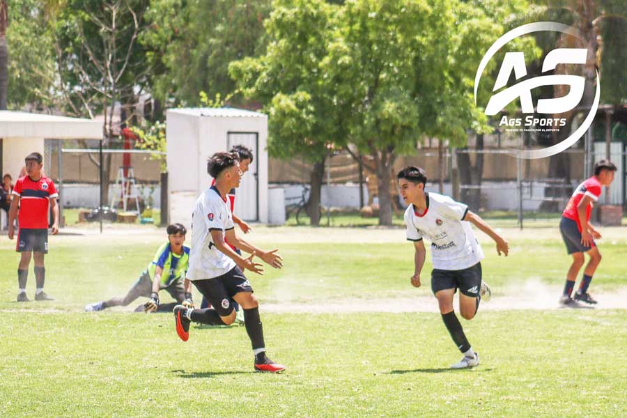 Están Alacranes de Aguascalientes en cuartos de final