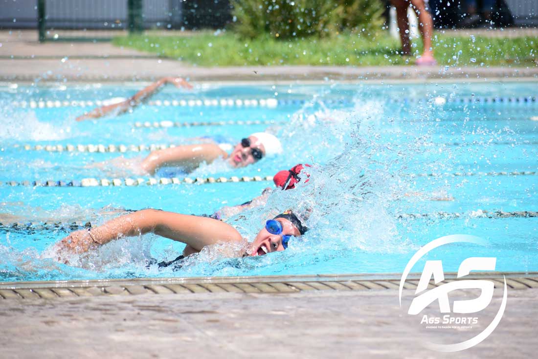 El ITA obtuvo sus primeras medallas en la natación