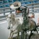 Los juveniles iniciaron la actividad en el Nacionalito 2024 en Aguascalientes.