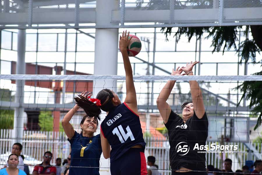 Más de 20 juegos de voleibol se disputarán en la Copa Aguascalientes 2024