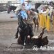 Tiene Nacionalito charro varios cambios en su programa en Aguascalientes