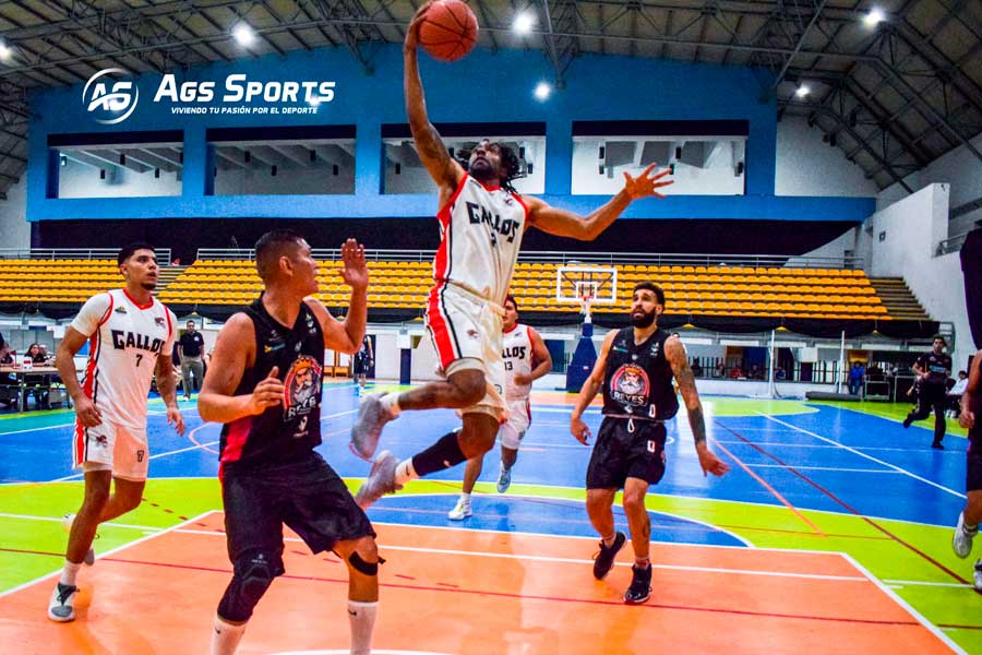 Gallos ya tiene rival para play off en CIBAPAC