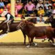 Van Charros y Escaramuzas de Aguascalientes al Campeonato Millonario