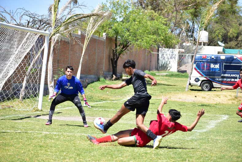 Aguascalientes tendrán gran presencia en la Zona XII de la LNJ