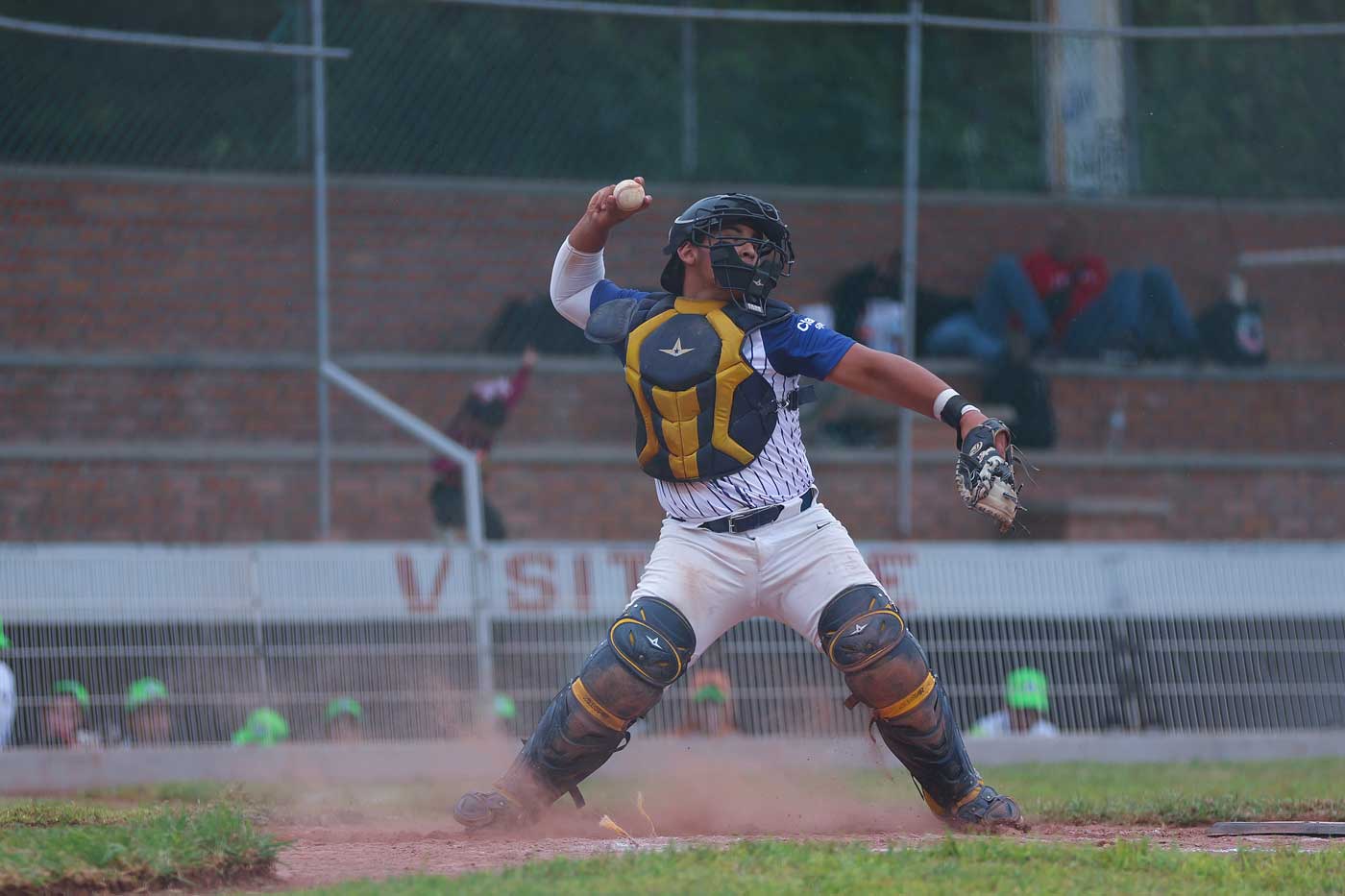 Definen a los semifinalistas de la Liga Telmex Telcel de Beisbol