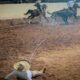 Hacienda de San José abrió la actividad aguascalentense en Rancho El Pitayo