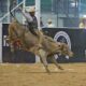 Concluyó la participación de Rancho El Picacho en el LXXX Congreso y Campeonato Nacional Charro