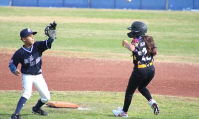 Definen a los semifinalistas del Festival de Beisbol de Calavera 2024 en Aguascalientes.