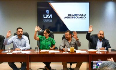 Comisión de igualdad sustantiva y equidad de género del Congreso de Aguascalientes plantea su plan de trabajo