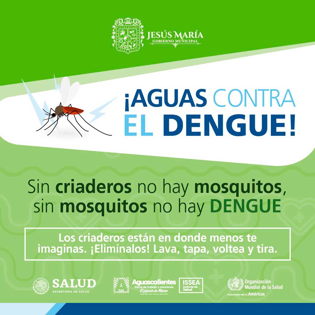 Conoce los esfuerzos del Gobierno de Jesús María para prevenir el dengue. A través de medidas preventivas