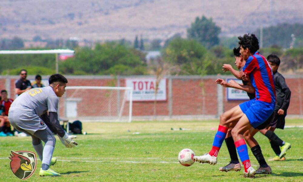 Cardenales FC y Alex Aguinaga destacaron en la fecha 13 de la Liga Nacional Juvenil de futbol