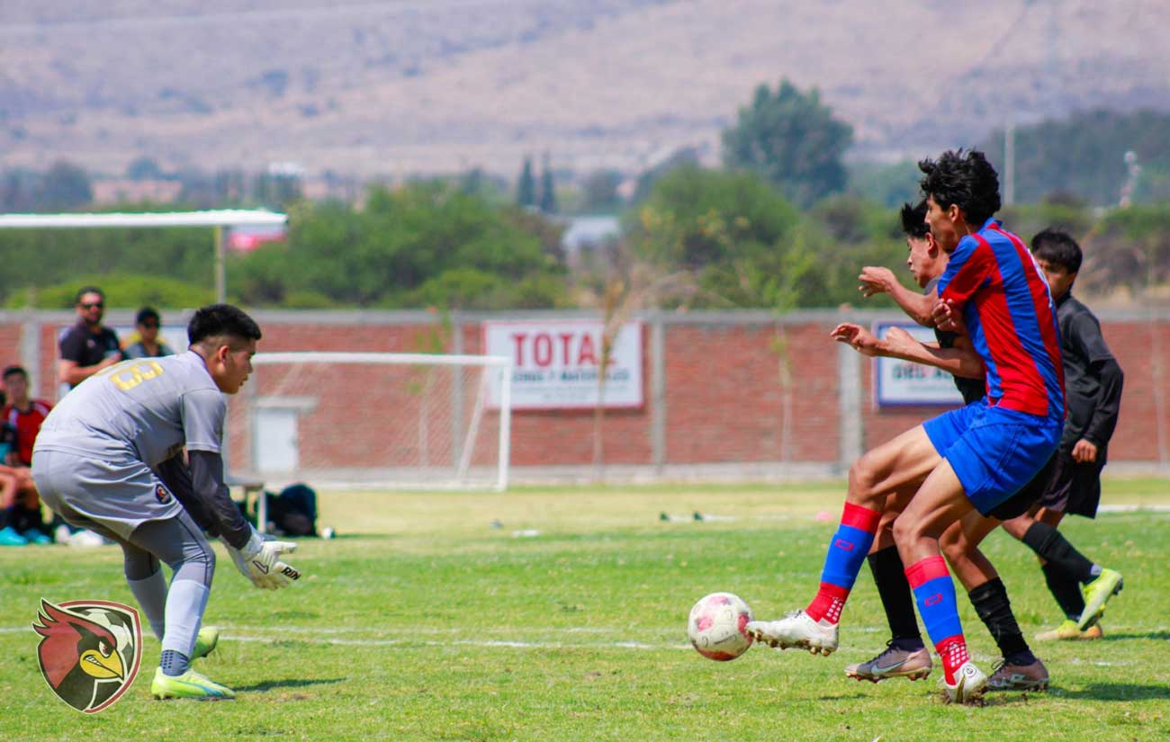 Cardenales FC y Alex Aguinaga destacaron en la fecha 13 de la Liga Nacional Juvenil de futbol