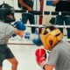 Invitan a participar en curso gratuito de iniciación al boxeo para entrenadores en el Municipio de Aguascalientes