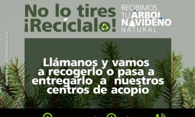 Jesús María se suma al reciclaje con campaña de recolección de árboles y luces navideñas