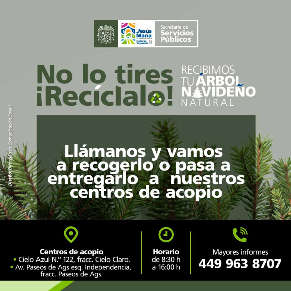 Jesús María se suma al reciclaje con campaña de recolección de árboles y luces navideñas