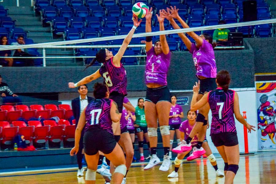 Rielerags de Aguascalientes cae ante Virtus León en la Temporada 2025 de la LMV