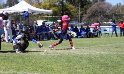 Aguascalientes será sede del torneo de béisbol femenil con más de 200 niñas de 11 Estados del país