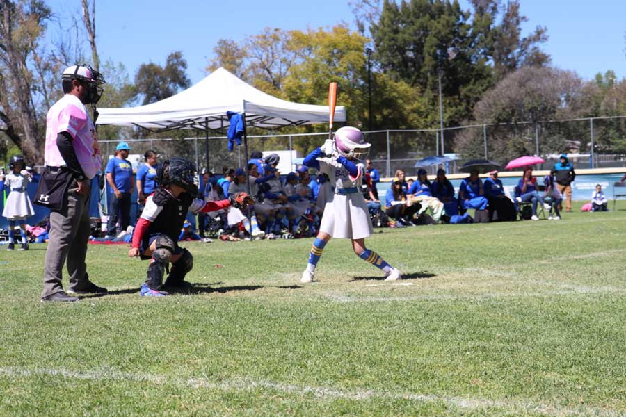 Arranca el Nacional infantil de beisbol femenil en Aguascalientes