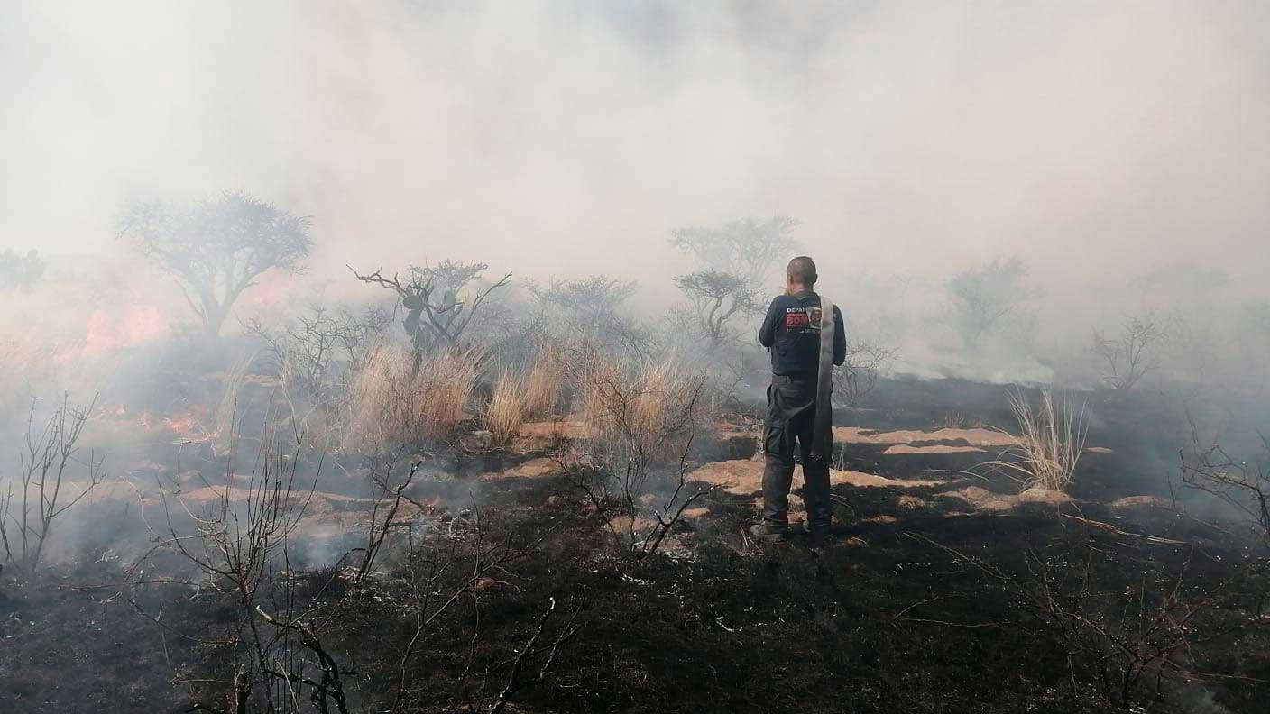 Con acción rápida y eficiente Bomberos y Protección Civil controlaron incendio forestal en Jesús María