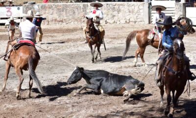 Dos Potrillos Vestir Charro campeón del Circuito Tradición 2025