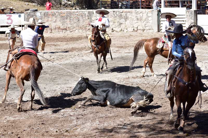 Dos Potrillos Vestir Charro campeón del Circuito Tradición 2025