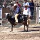 Este 15 y 16 de febrero se realizará el XXXIV Torneo de la Amistad 2025 en el Rancho del Charro