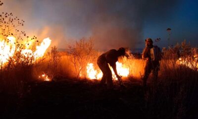 Fortalecen bomberos municipales  de Aguascalientes acciones de combate de incendios forestales y de pastizales