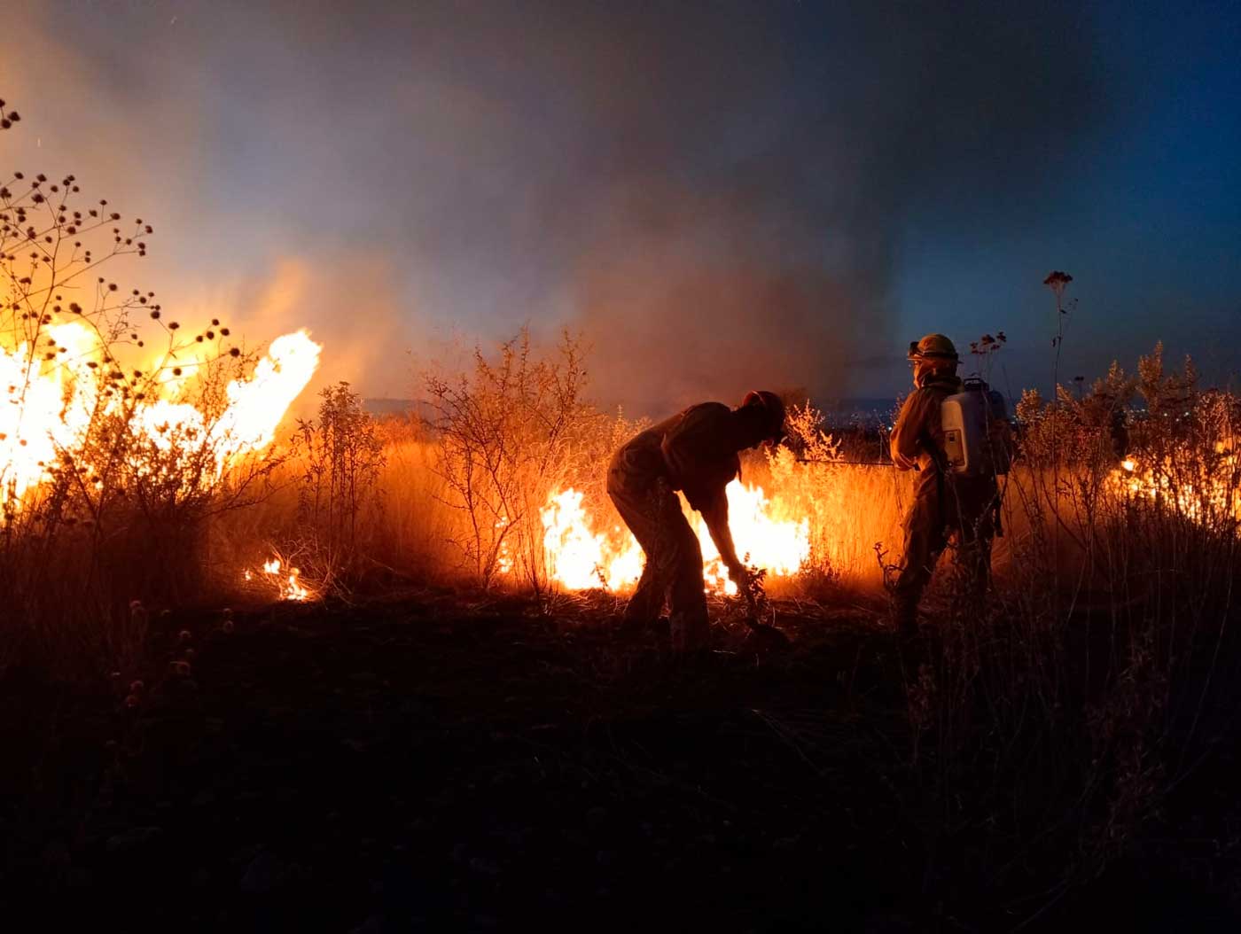 Fortalecen bomberos municipales  de Aguascalientes acciones de combate de incendios forestales y de pastizales