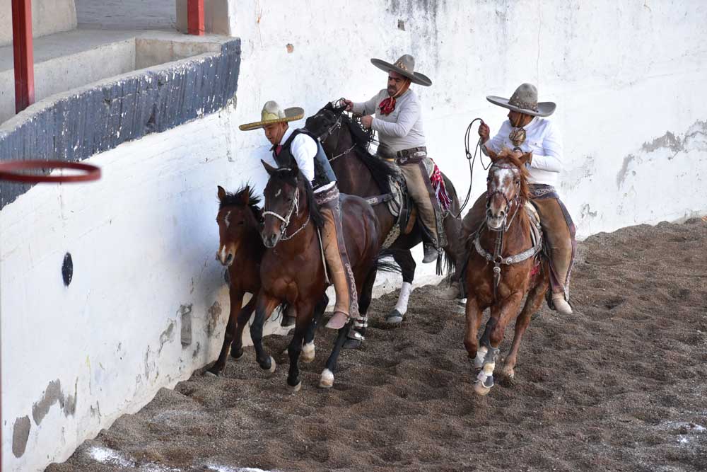 Gran nivel se espera en la final del Circuito Charro en Jesús María