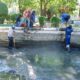 Limpian el lago del Parque Hidalgo en el Municipio de Aguascalientes