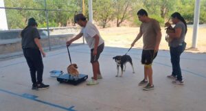 Servicio de Veterinaria móvil gratutito por el Municipio de Aguascalientes