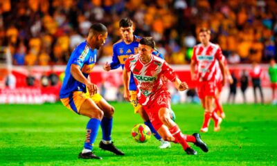 Tigres frenó la buena racha de Necaxa tras vencerlo en el Victoria